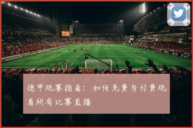 德甲观赛指南：如何免费与付费观看所有比赛直播